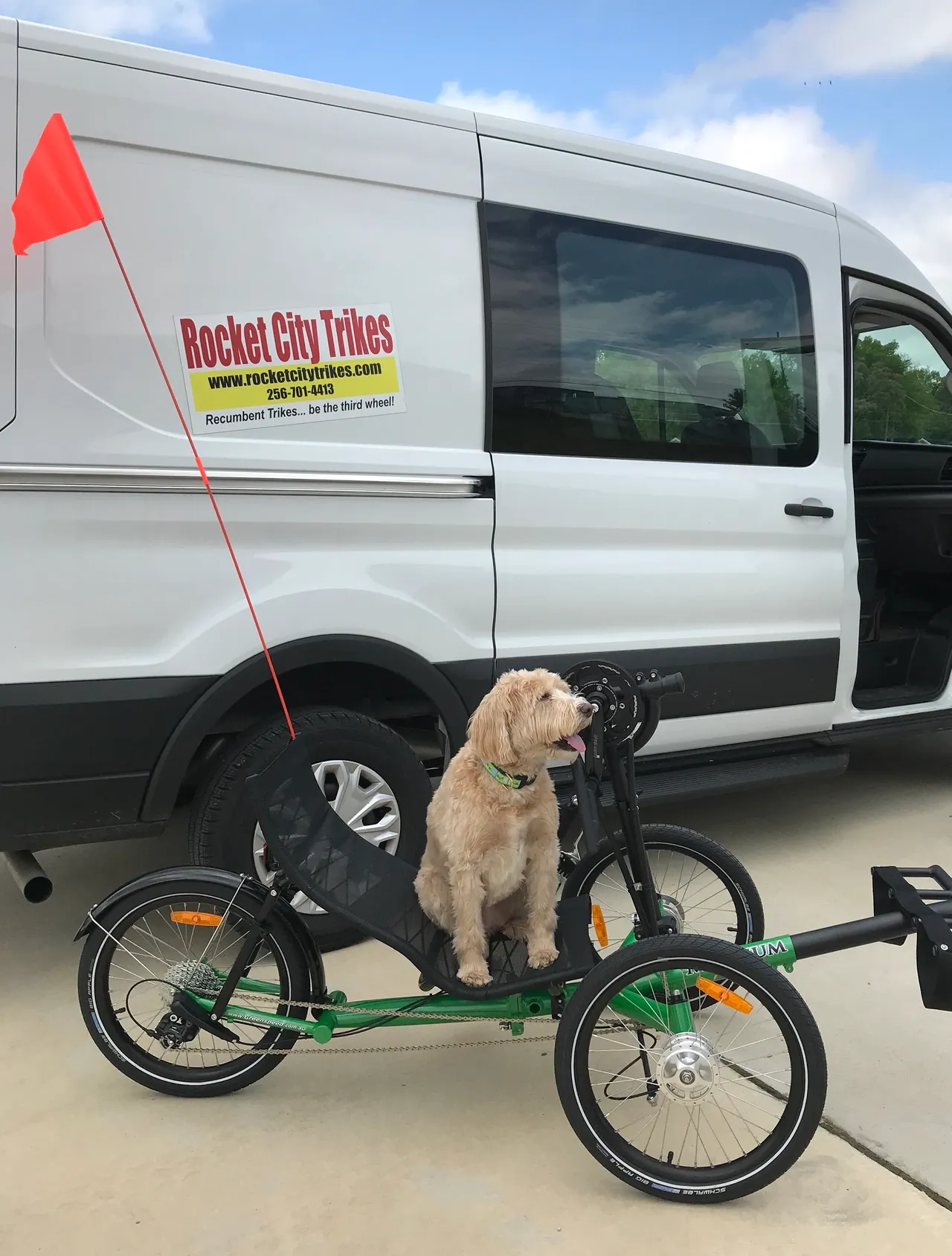 Ellie the dog posing beside a Greenspeed trike and the WooHoo Wagon delivery trailer